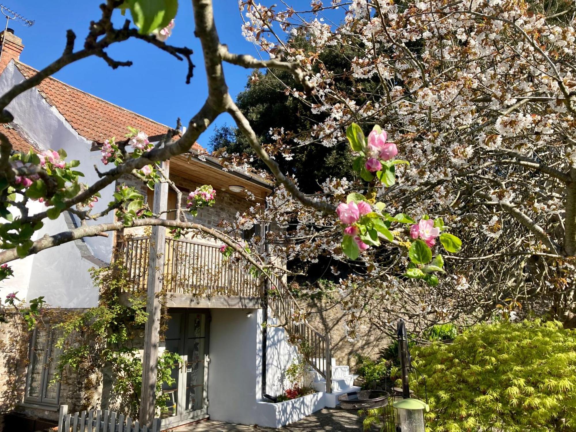 Westbury Cross House Bed & Breakfast Luaran gambar