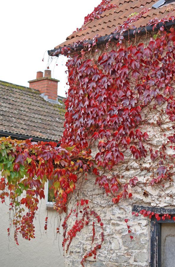 Westbury Cross House Bed & Breakfast Luaran gambar